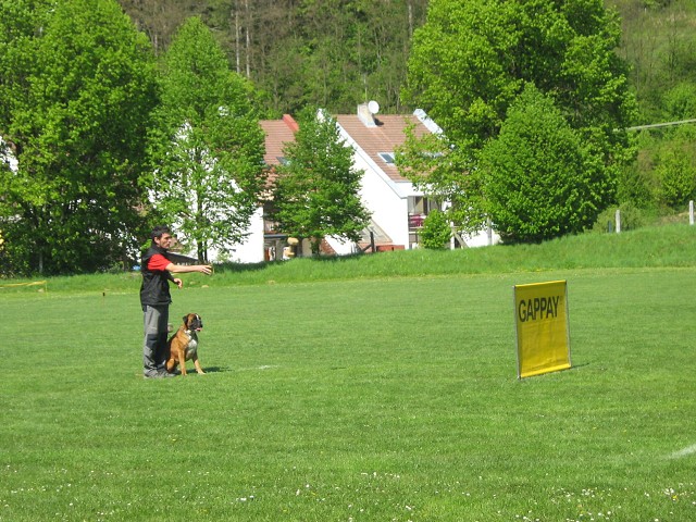 www.atibox.net * www.euroboxer.eu * www.boxergenealogia.eu